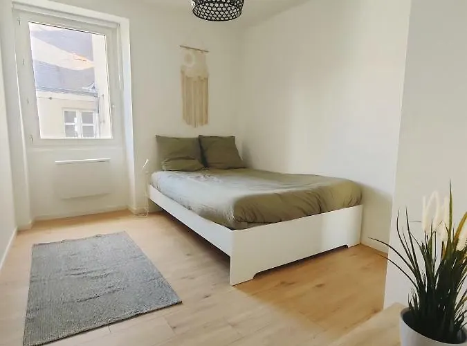 公寓 Quiet & Cosy Near Loire River & Tramway